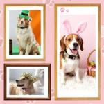 Guiqulai 3 Pack Spring Summer Dog Collars, Adjustable Puppy Collars with Spring Summer Green Leaves Peach Pattern Quick Release Buckle Charm for Small Medium Girl Dogs, Holiday Seasonal Pet Collar