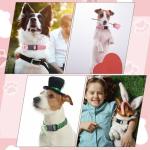 Guiqulai 3 Pack Spring Summer Dog Collars, Adjustable Puppy Collars with Spring Summer Green Leaves Peach Pattern Quick Release Buckle Charm for Small Medium Girl Dogs, Holiday Seasonal Pet Collar