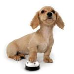 Comsmart Dog Training Bells - Set of 2