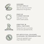 Crumps' Naturals Bacon Dental Dog Treats (10 count), 7"