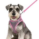 Eagloo Small Dog Harness and Leash Set, Step in Puppy Vest with Breathable Soft Mesh, Walking Reflective Pet Harness for Small Dogs, Pink, S