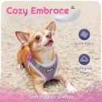 Eagloo Small Dog Harness and Leash Set, Step in Puppy Vest with Breathable Soft Mesh, Walking Reflective Pet Harness for Small Dogs, Pink, S