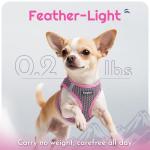 Eagloo Small Dog Harness and Leash Set, Step in Puppy Vest with Breathable Soft Mesh, Walking Reflective Pet Harness for Small Dogs, Pink, S