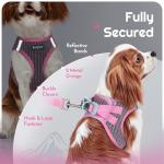 Eagloo Small Dog Harness and Leash Set, Step in Puppy Vest with Breathable Soft Mesh, Walking Reflective Pet Harness for Small Dogs, Pink, S