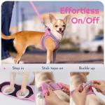 Eagloo Small Dog Harness and Leash Set, Step in Puppy Vest with Breathable Soft Mesh, Walking Reflective Pet Harness for Small Dogs, Pink, S