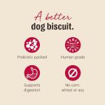 The Honest Kitchen Human Grade Dog Treats Goat's Milk N' Cookies: Slow Baked with Blueberries & Vanilla, 8 oz Bag