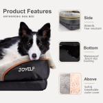 Large Orthopedic Memory Foam Dog Bed with Toy