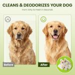 Hypoallergenic Pet Wipes for Dogs & Cats – Quick Clean & Deodorize Paws, Butt, Eyes, Ears, Face & Fur | Daily Grooming After Walks and Between Baths | Extra Large & Thick | Coconut Scented, 400 Count