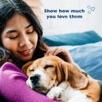 Bil-Jac Little Jacs Small Dog Training Treats, Chicken Flavor, Made with Chicken Liver, 16oz (2-Pack)