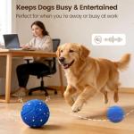 Invengo Interactive Dog Ball, Automatic Rolling Dog Toys with 3 Play Modes, E-TPU Material Dog Balls, IP65 Waterproof Interactive Dog Toys for Medium Dogs(Blue)