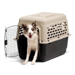 Petmate Vari Dog Kennel - Portable Medium Dog Carrier