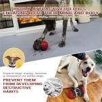 Interactive Dog Puzzle Toy - Mental Stimulation Rolling Treat Dispenser Ball & Slow Feeder Bowl Combo Set | Keeps Your Beloved Dog Focused & Busy | Extra Large Adjustable Treat Dispenser