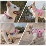 OneTigris Tough Dog Collars, Tactical Dog Collar with Handle, Milltary Adjustable Dog Collar with Heavy Duty Metal Buckle for Training (Large,Pink)