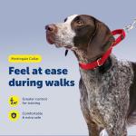 PetSafe Adjustable Martingale Collar - Only Tightens When Dogs Pull, Prevents Slipping Out - Helps with Strong Pullers, Increased Control - Alternative to Choke Collar - 1", Medium, Red