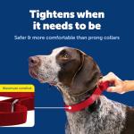 PetSafe Adjustable Martingale Collar - Only Tightens When Dogs Pull, Prevents Slipping Out - Helps with Strong Pullers, Increased Control - Alternative to Choke Collar - 1", Medium, Red