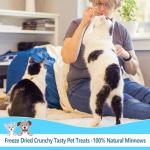 JADINGSFARM Minnows - 4 oz Freeze Dried Minnows for Cats & Dogs - 100% Natural Premium Cat Treat, Dog Treat (4 oz)