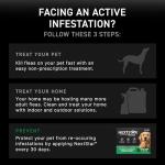 NEXTSTAR Flea and Tick Prevention for Dogs, Repellent & Control, Fast Acting Waterproof Topical Drops, Flea and Tick Prevention for Large Dogs, 1 Monthly Dose