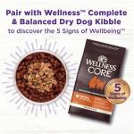 Wellness Bowl Boosters Bare Freeze Dried Turkey Dog Food Topper for Small, Medium, and Large Breeds, Grain Free, Natural, 4 oz Bag