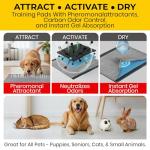 Glad for Pets Black Charcoal Puppy Pads - Super Absorbent Disposable Dog Pee Pads, Potty Training Pads, and Pet Supplies - Dog Pee Pads for Crate Training and Indoor Use 23" x 23" - 50 Count