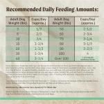 Merrick Healthy Grains Premium Dry Dog Food, Wholesome and Natural Dry Chicken Kibble, Senior Recipe - 4.0 lb. Bag