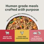 Instinct Freshly Crafted Meals, Dog Wet Food or Topper, Human Grade - Variety Pack, 11oz. Carton (Pack of 6)