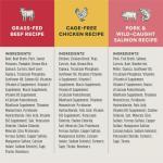 Instinct Freshly Crafted Meals, Dog Wet Food or Topper, Human Grade - Variety Pack, 11oz. Carton (Pack of 6)