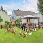 Yaheetech Dog Playpen Outdoor, 24 inch 16 Panels Dog Pen Indoor Heavy Duty Puppy Exercise Pen Metal Pet Fence for RV Camping/Yard/Garden