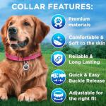 TECEUM Reflective Dog Collar – Hot Pink – M – Extra Soft Padding – Basic Nylon Pet Collar – Quick Release Buckle – Fits Small, Medium and Large Dogs, Puppies, Cats – ESA & Service Dog Options