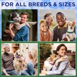 TECEUM Reflective Dog Collar – Hot Pink – M – Extra Soft Padding – Basic Nylon Pet Collar – Quick Release Buckle – Fits Small, Medium and Large Dogs, Puppies, Cats – ESA & Service Dog Options