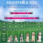 TECEUM Reflective Dog Collar – Hot Pink – M – Extra Soft Padding – Basic Nylon Pet Collar – Quick Release Buckle – Fits Small, Medium and Large Dogs, Puppies, Cats – ESA & Service Dog Options