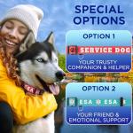 TECEUM Reflective Dog Collar – Hot Pink – M – Extra Soft Padding – Basic Nylon Pet Collar – Quick Release Buckle – Fits Small, Medium and Large Dogs, Puppies, Cats – ESA & Service Dog Options