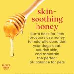 Burt’s Bees for Pets Oatmeal Dog Conditioner with Honey, Moisturizing Dog Coat Conditioner for Dry and Sensitive Skin to Help Soften and Nourish Coats During Grooming, 10 Fl Oz