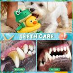 EXPAWLORER 2-in-1 Squeaky Floating Dog Toys for Small Medium Large Dogs, Crocodile & Duck Set Water Pool Toys with Squeakers, Interactive Outdoor Fetch Pet Toy for Beach Lake Summer Essentials