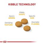 Royal Canin Canine Care Nutrition Medium Sensitive Skin Care Adult Dry Dog Food, 6 lb Bag