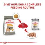 Royal Canin Canine Care Nutrition Medium Sensitive Skin Care Adult Dry Dog Food, 6 lb Bag