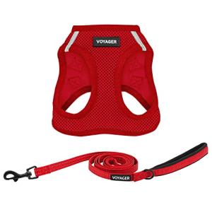All-Weather Dog Harness and Leash Combo Set
