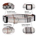 Faleela Adjustable Bowtie Dog Collar in Beige