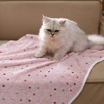 Super Soft Dot Pattern Pet Blanket for Dogs