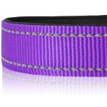 Joytale Reflective Soft Padded Dog Collar - Purple