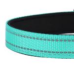 Teal Reflective Neoprene Dog Collar for Medium Dogs