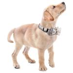 Faleela Adjustable Bowtie Dog Collar in Beige