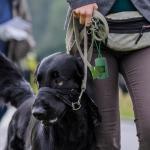 SLSON 3-Pack Portable Dog Poop Bag Holders