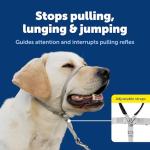 PetSafe Gentle Leader No-Pull Dog Collar, Medium