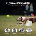 Automatic Dog Ball Launcher for Active Pups