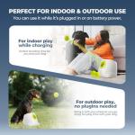 Automatic Dog Ball Launcher for Active Pups