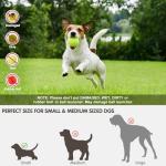 Automatic Ball Launcher for Small Dogs with 15 Balls