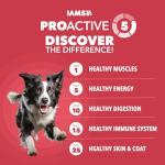 IAMS Proactive Health Minichunks Lamb & Rice Dog Food