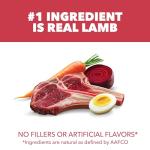 IAMS Proactive Health Minichunks Lamb & Rice Dog Food