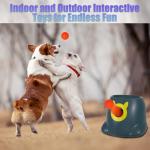 WIGGLYTAIL Automatic Ball Launcher for Dogs
