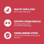 IAMS Proactive Health Minichunks Lamb & Rice Dog Food